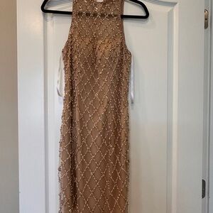 Terani Couture Beige Beaded Backless Gown